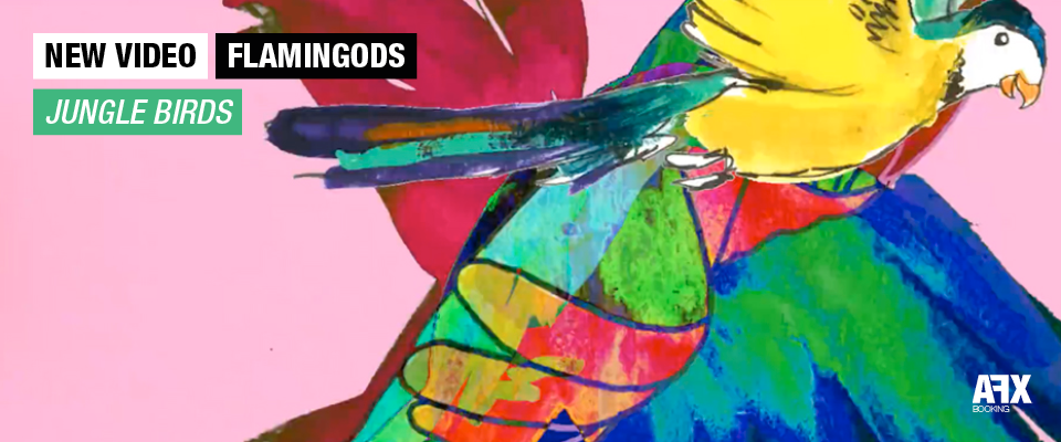 FLAMINGODS : NOUVELLE VIDEO « JUNGLE BIRDS »